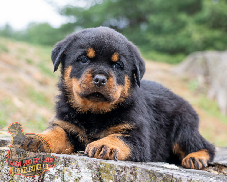 Saint Paul, Minnesota